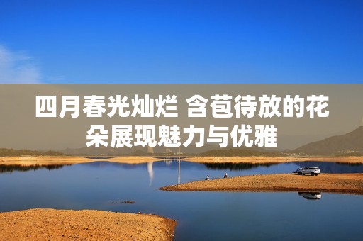 四月春光灿烂 含苞待放的花朵展现魅力与优雅