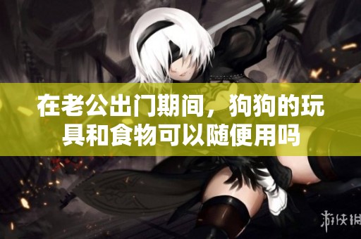 在老公出门期间，狗狗的玩具和食物可以随便用吗