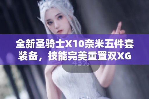 全新圣骑士X10奈米五件套装备，技能完美重置双XG武器选择