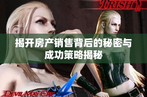 揭开房产销售背后的秘密与成功策略揭秘