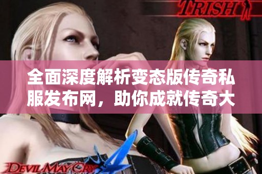 全面深度解析变态版传奇私服发布网，助你成就传奇大侠之路
