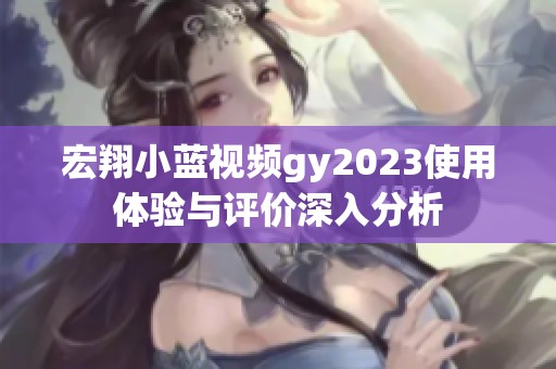 宏翔小蓝视频gy2023使用体验与评价深入分析
