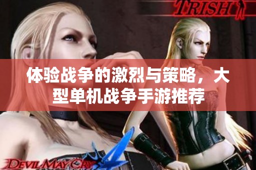 体验战争的激烈与策略，大型单机战争手游推荐