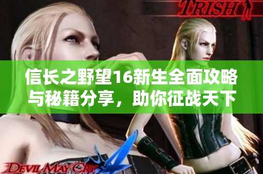 信长之野望16新生全面攻略与秘籍分享，助你征战天下！