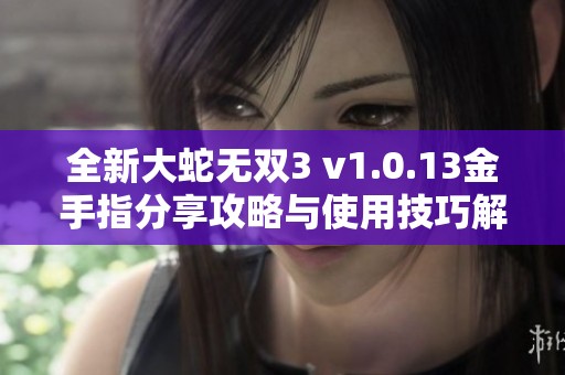 全新大蛇无双3 v1.0.13金手指分享攻略与使用技巧解析