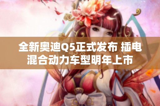全新奥迪Q5正式发布 插电混合动力车型明年上市