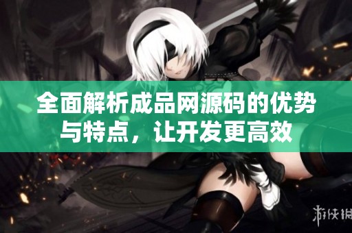 全面解析成品网源码的优势与特点，让开发更高效