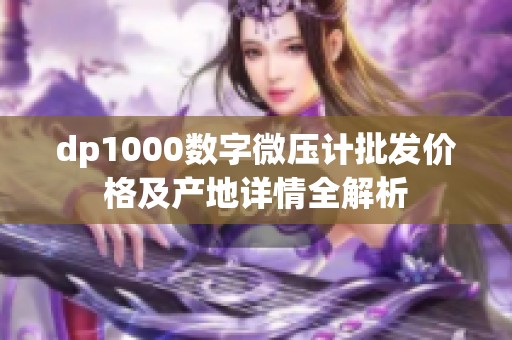 dp1000数字微压计批发价格及产地详情全解析