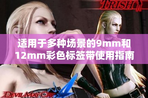 适用于多种场景的9mm和12mm彩色标签带使用指南