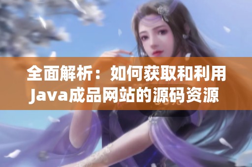 全面解析：如何获取和利用Java成品网站的源码资源