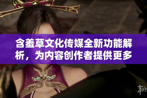 含羞草文化传媒全新功能解析，为内容创作者提供更多便利