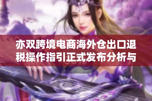 亦双跨境电商海外仓出口退税操作指引正式发布分析与解读