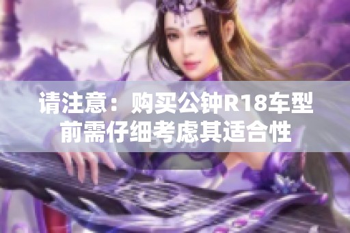 请注意：购买公钟R18车型前需仔细考虑其适合性