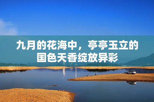 九月的花海中，亭亭玉立的国色天香绽放异彩