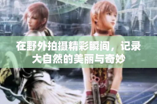 在野外拍摄精彩瞬间，记录大自然的美丽与奇妙