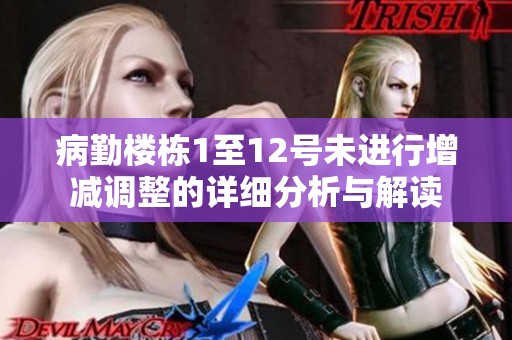 病勤楼栋1至12号未进行增减调整的详细分析与解读