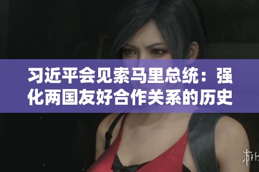 习近平会见索马里总统：强化两国友好合作关系的历史渊源