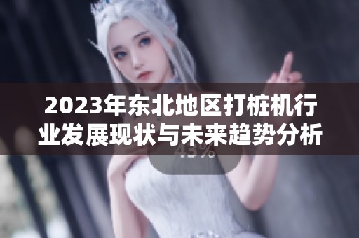 2023年东北地区打桩机行业发展现状与未来趋势分析