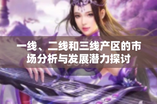 一线、二线和三线产区的市场分析与发展潜力探讨