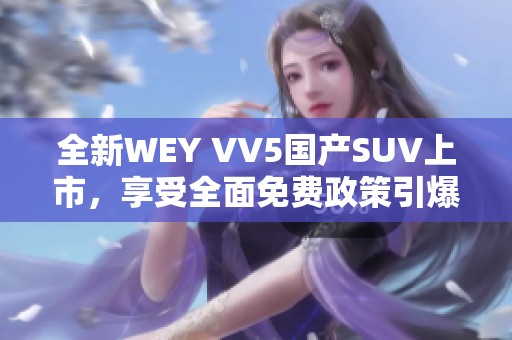 全新WEY VV5国产SUV上市，享受全面免费政策引爆市场 热点