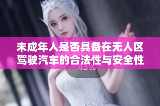 未成年人是否具备在无人区驾驶汽车的合法性与安全性探讨