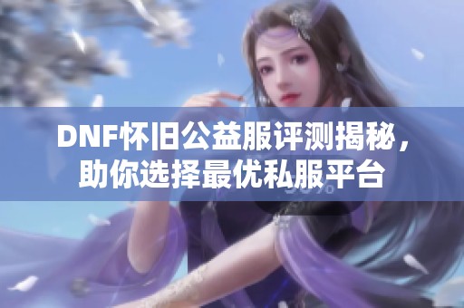 DNF怀旧公益服评测揭秘，助你选择最优私服平台
