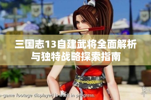 三国志13自建武将全面解析与独特战略探索指南