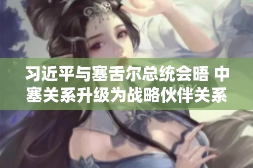 习近平与塞舌尔总统会晤 中塞关系升级为战略伙伴关系