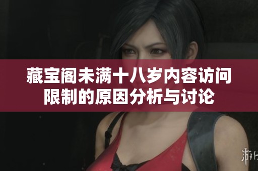 藏宝阁未满十八岁内容访问限制的原因分析与讨论