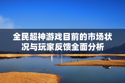 全民超神游戏目前的市场状况与玩家反馈全面分析