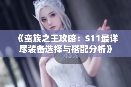 《蛮族之王攻略：S11最详尽装备选择与搭配分析》