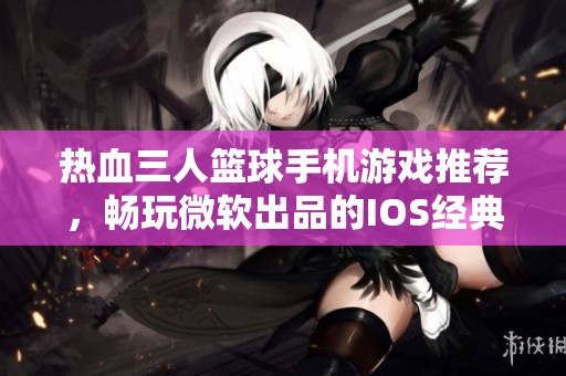 热血三人篮球手机游戏推荐，畅玩微软出品的IOS经典大作