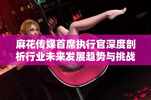 麻花传媒首席执行官深度剖析行业未来发展趋势与挑战