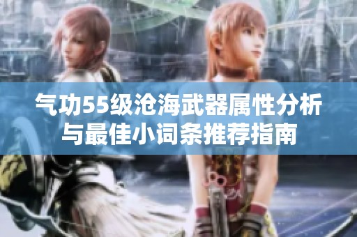 气功55级沧海武器属性分析与最佳小词条推荐指南