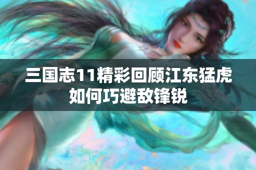 三国志11精彩回顾江东猛虎如何巧避敌锋锐