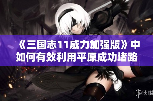 《三国志11威力加强版》中如何有效利用平原成功堵路策略解析