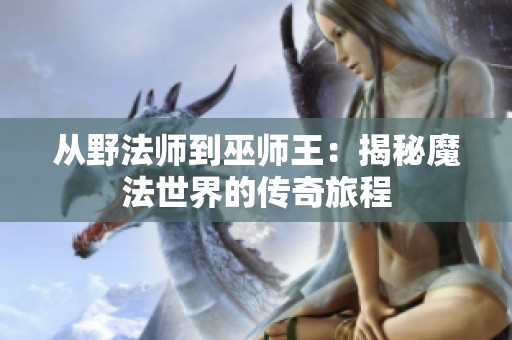 从野法师到巫师王：揭秘魔法世界的传奇旅程