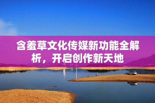 含羞草文化传媒新功能全解析，开启创作新天地