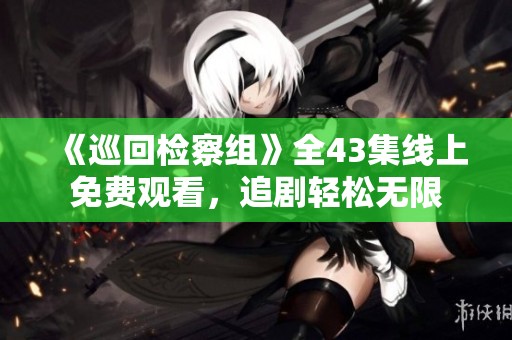 《巡回检察组》全43集线上免费观看，追剧轻松无限