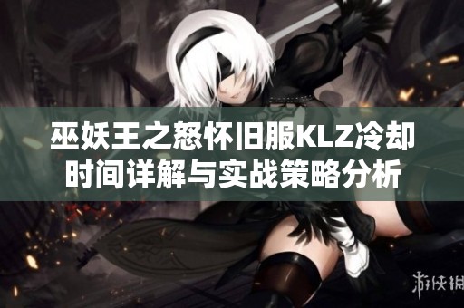 巫妖王之怒怀旧服KLZ冷却时间详解与实战策略分析