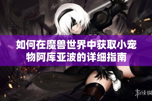 如何在魔兽世界中获取小宠物阿库亚波的详细指南
