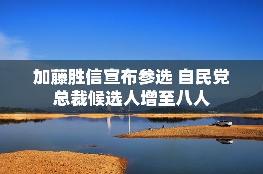加藤胜信宣布参选 自民党总裁候选人增至八人