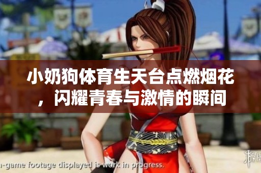 小奶狗体育生天台点燃烟花，闪耀青春与激情的瞬间