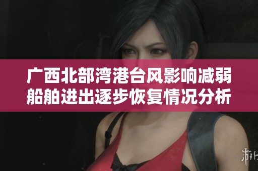 广西北部湾港台风影响减弱船舶进出逐步恢复情况分析