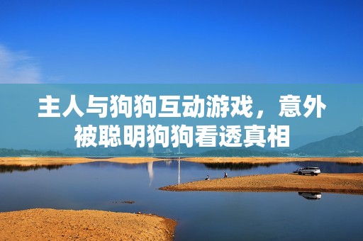 主人与狗狗互动游戏，意外被聪明狗狗看透真相