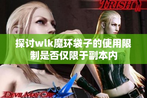 探讨wlk魔环袋子的使用限制是否仅限于副本内