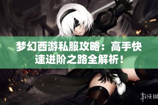 梦幻西游私服攻略：高手快速进阶之路全解析！