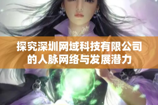 探究深圳网域科技有限公司的人脉网络与发展潜力