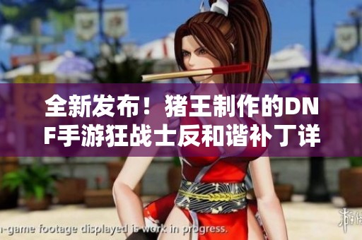 全新发布！猪王制作的DNF手游狂战士反和谐补丁详解与使用指南