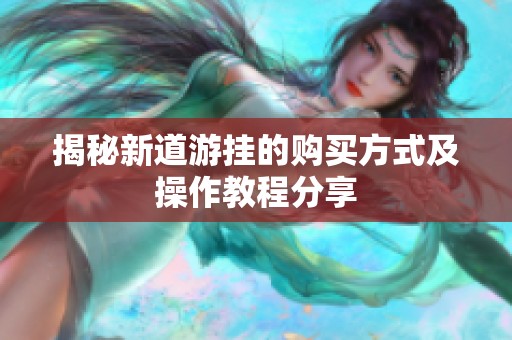 揭秘新道游挂的购买方式及操作教程分享